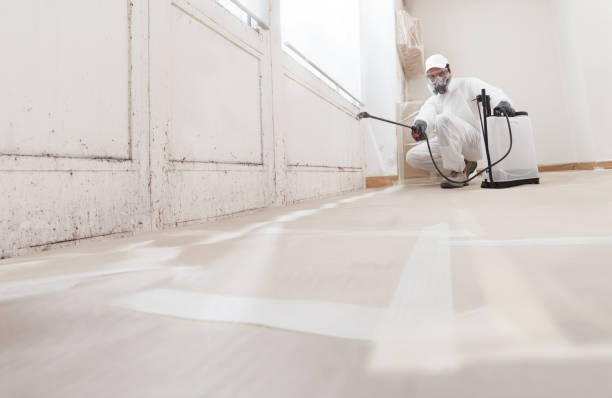 24/7 Emergency Commercial Mold Remediation experts in Onley, VA